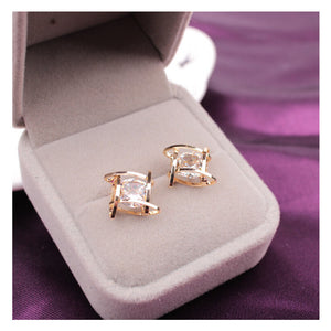 Elegant and Charming Rhinestone Crystals Earrings for Women